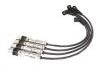 Ignition Wire Set:03F 905 409 AB